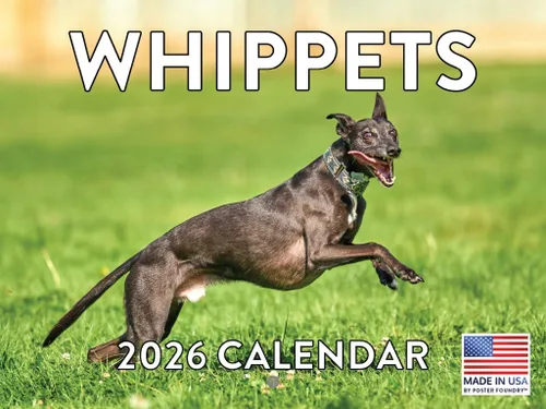 Vista 71 de Calendario mensual de pared Airedale Terrier Dog 2027 rojo (Airedale Terrier)