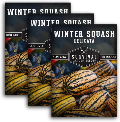 Vista 10 de Semillas de calabaza de invierno Delicata para plantar, 1 paquete