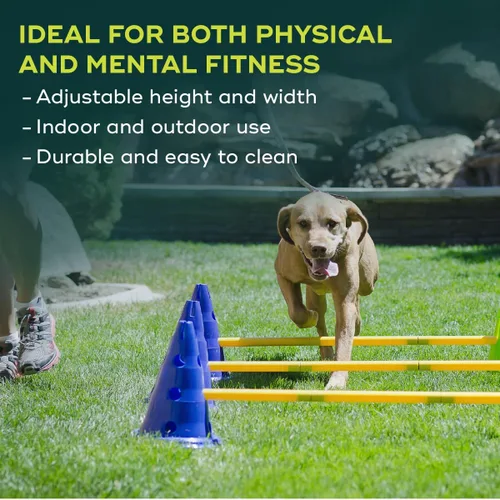 Vista 4 de FitPAWS Kit de agilidad Ball Dynamics CanineGym