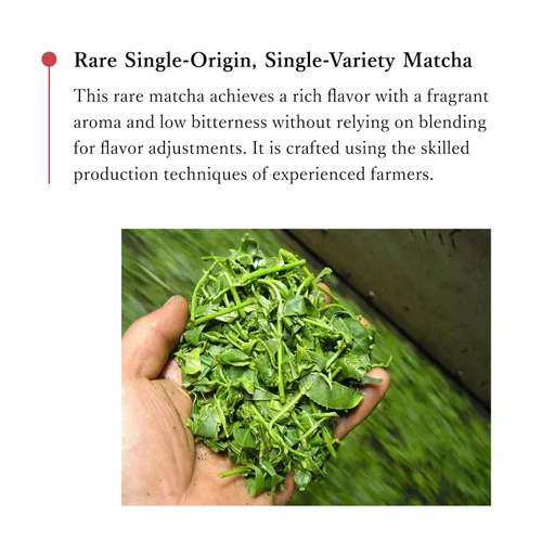 Vista 5 de Mikan-Yama Polvo de matcha orgánico japonés de grado ceremonial 40 g (1.41 oz)