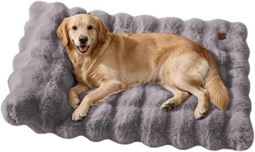 Vista 13 de SOMAHE Cama para gatos y alfombrilla para perros pequeños, almohada elevada Blanco