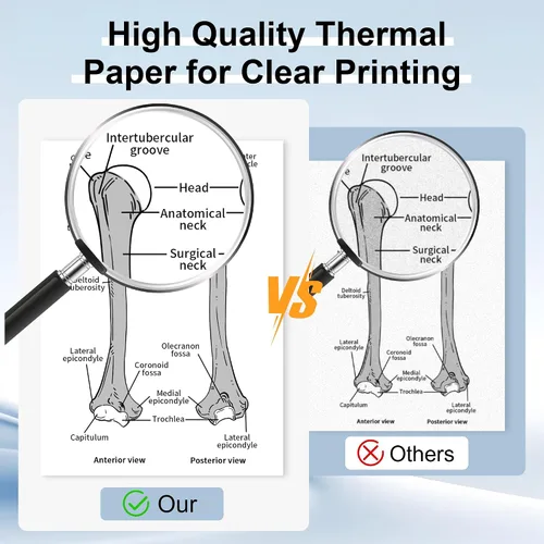 Vista 4 de 2 rollos de papel térmico Phomemo de 8.5 x 11 pulgadas, tamaño carta de EE. UU., impresión térmica avanzada, papel en rollo compatible con impresora