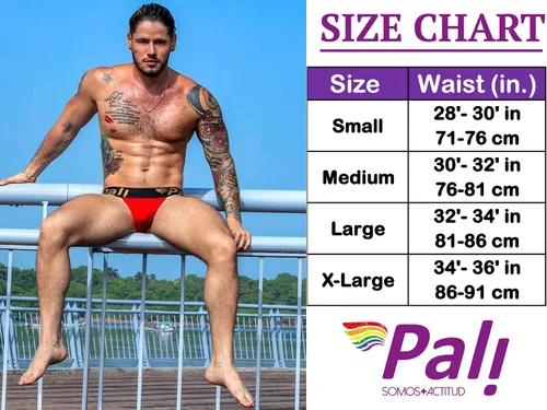 Vista 4 de Pali - Tanga sexy con liguero para hombre ropa interior lencería gay