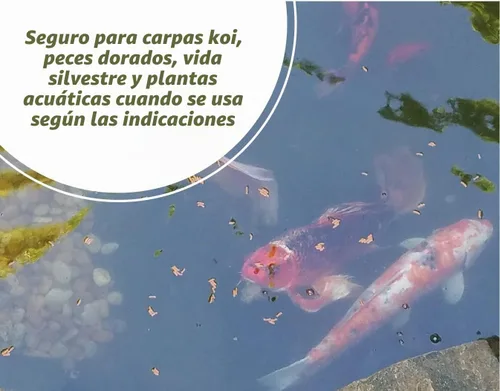 Vista 6 de Bloom Buster Control de algas para estanques de peces y jardines acuáticos, 8 onzas, seguro para peces koi, peces dorados y plantas, controla