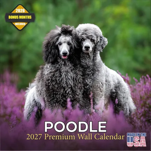 Vista 11 de Calendario de Lebrel Afgano 2025 2026, calendario mensual de pared de raza canina, 12" x 18" abierto, papel grueso sin traspaso, ideal para regalo