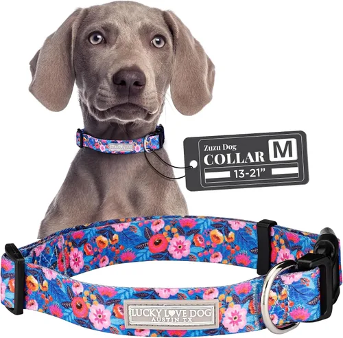 Vista 40 de Lucky Love Dog - Collar para perras pequeñas, diseño Blackbird de estampado alegre con flores de primavera y verano, talla XS Collar Blackbird