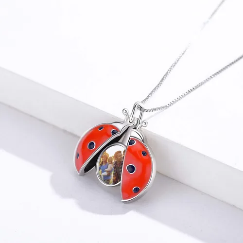Vista 2 de Collar con medallón de mariquita que sostiene fotos de plata de ley 925 collar de mariquita regalo de joyería para mujeres y madres cumpleaños