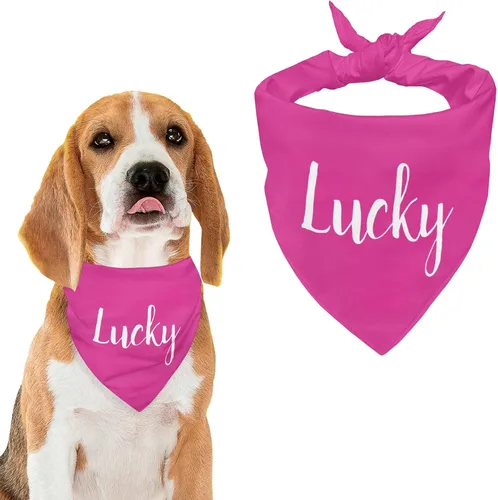 Vista 13 de Bandana personalizada para perro con nombre de poliéster, bandana personalizada para perro, triángulo, bufanda personalizada para mascotas