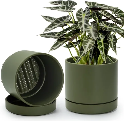 Vista 16 de Phoenix Vine 4 Inch Planter Pot with Drainage Hole & Saucer, Deep Water Catch Tray, Straight Cylindrical Round Pot for Plants, Olive, Pack of 1