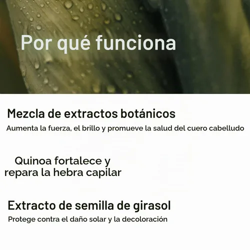 Vista 5 de Eufora Hidratación Acondicionador sin enjuague 7.25 Oz