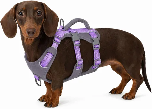 Vista 16 de Arnés reflectante para perros Huntboo con mango, a prueba de escapes, antideslizante, transpirable, ligero, arnés ajustable para perros pequeños