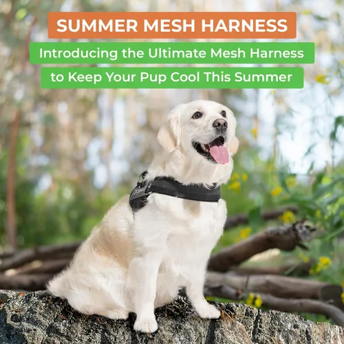 Vista 2 de Joyride Harness Chaleco de malla de verano – Arnés para perro 2.0 sin tirones – Chaleco ajustable y transpirable – Etiqueta de nombre personalizada