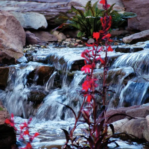 Vista 4 de Atlantic Water Gardens TT2000 - Bomba para estanque y cascada, color negro