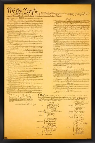 Vista 8 de Trends International Póster de pared de The Constitution, 14.725 x 22.375 pulgadas, versión enmarcada de madera de granero Versión enmarcada Barnwood