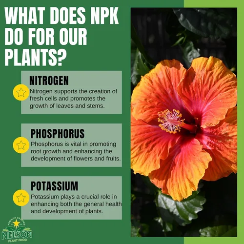 Vista 8 de Nelson Plant Food - Fertilizante NutriStar Hibiscus - Alimento para plantas de interior y exterior - Fertilizante de hibisco tropical para todas