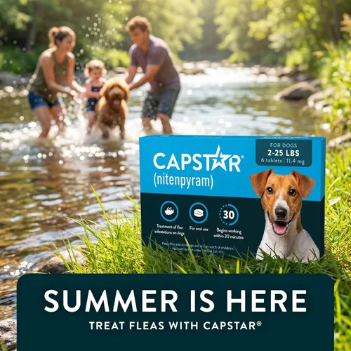Vista 9 de Capstar (Nitenpyram) Tratamiento oral de pulgas de acción rápida para perros de 2 a 25 libras, tabletas de medicamentos recomendadas por