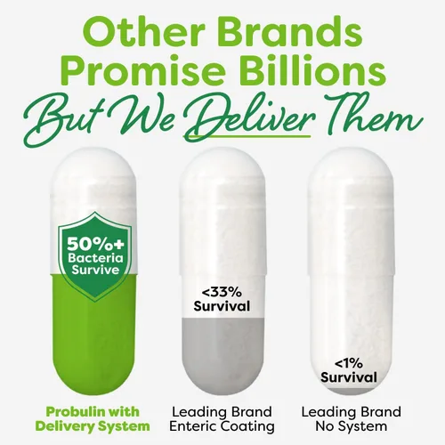 Vista 3 de Probulin Total Care Soothe Prebiótico, probiótico y postbiótico + jengibre y menta para calmar la digestión, 15 mil millones de UFC, 15 cepas, 30