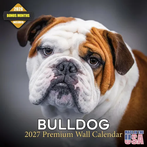 Vista 28 de Calendario de Lebrel Afgano 2025 2026, calendario mensual de pared de raza canina, 12" x 18" abierto, papel grueso sin traspaso, ideal para regalo