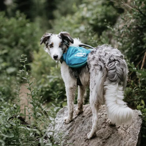 Vista 7 de Kyjen Outward Hound The Quick Release - Mochila para perros (surtido, mediano)