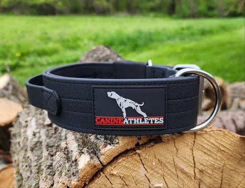Vista 4 de Canine Athletes Collar de perro de trabajo resistente al agua AP-Sport de 2 pulgadas con mango de control de agitación (mediano)