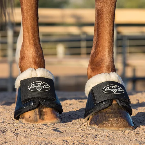 Vista 3 de Professional's Choice Botas de campana multiusos para caballos Se venden en pares