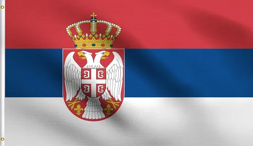 Vista 8 de DMSE - Bandera nacional beninesa beninesa de la República de África Occidental, 2 x 3 pies, 100 % poliéster, 100 % poliéster, resistente a los rayos