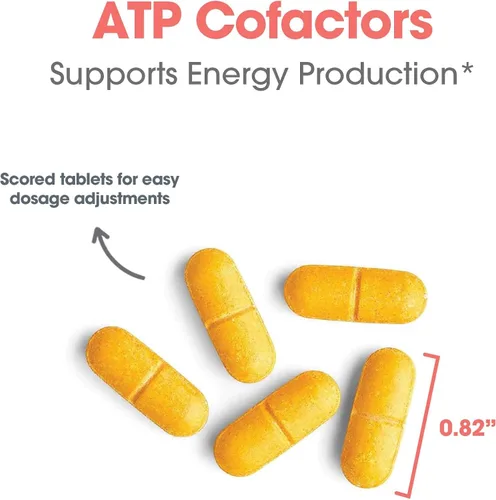 Vista 4 de Optimox ARG ATP Cofactors - 100 mg de riboflavina y 500 mg de niacina - Soporte mitocondrial - énfasis de magnesio - 90 porciones - 90