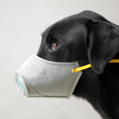 Vista 8 de Cubrebocas protector transpirable para perro, para polvo, 5 filtros, ajustable, cara de perro pequeño para contaminación al aire libre, bozal ligero