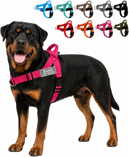 Vista 8 de Juego de correa de arnés para perro personalizado sin tirones con número de teléfono con nombre personalizado Reflective Breathable Heavy Duty