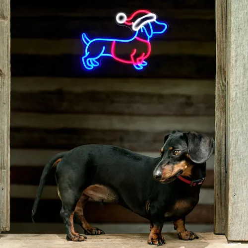 Vista 7 de Letrero de neón de perro salchicha con sombrero de Navidad, letrero LED de neón de perro salchicha, luces de neón de perro salchicha