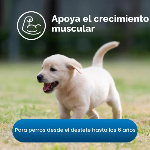 Vista 5 de PetAg Esbilac Healthy Development - 14 onzas, paquete de 2 - Suplemento nutricional de gran sabor para perros y cachorros destetados