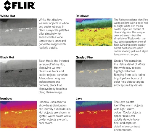 Vista 3 de FLIR Scion PTM366 - Monocular térmico profesional