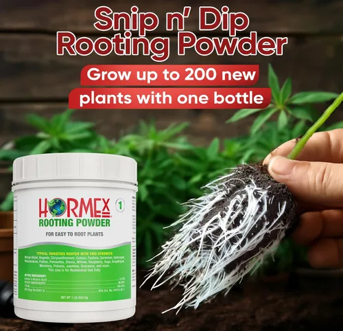 Vista 4 de Hormex Polvo de enraizamiento #1 (0.10 IBA): hormona de enraizamiento para plantas de interior delicadas, hierbas de jardín y esquejes suculentos