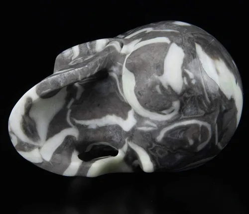 Vista 7 de Skullis Cráneo de cristal fósil raro de 2.0 pulgadas, escultura de arte fino de piedras preciosas talladas a mano, estatua de piedra curativa