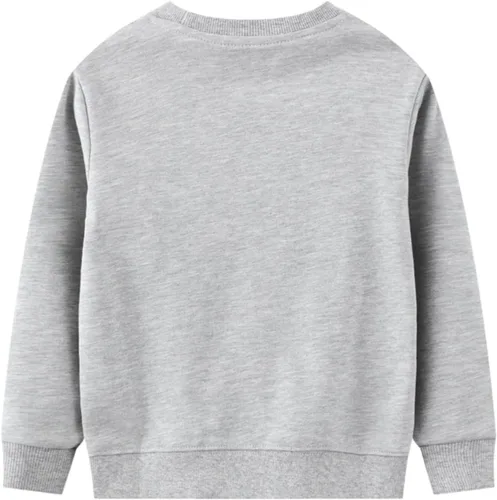 Vista 4 de LOKTARC Paquete de 2 sudaderas para niños pequeños con estampado de manga larga y cuello redondo