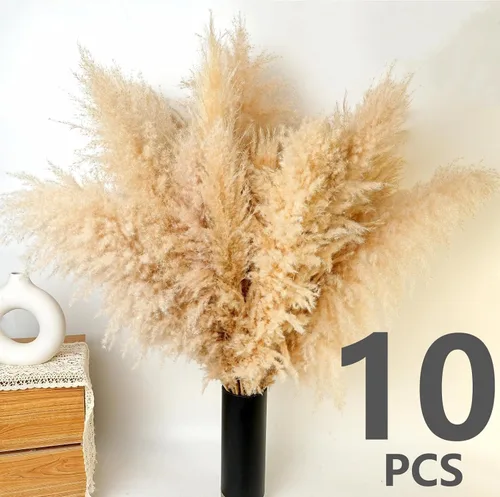 Vista 4 de 10 tallos de hierba de las pampas de 40 pulgadas de alto en color beige natural, añade un toque bohemio a tu espacio: hierba de las pampas ideal