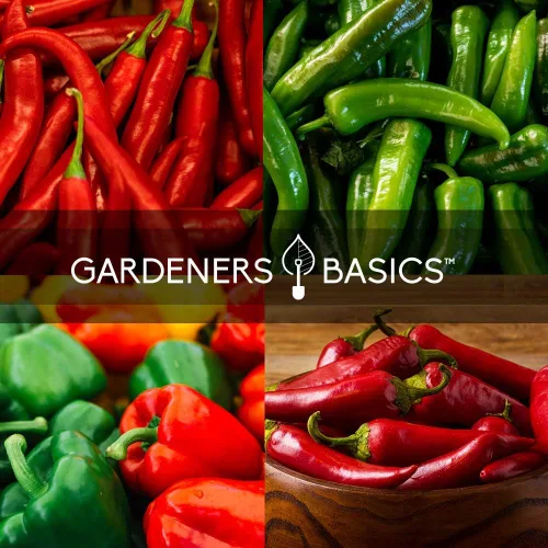 Vista 5 de Gardeners Basics, Semillas de pimiento para plantar 8 variedades, Jalapeño, Habanero, Pimiento, Cayena, Cera caliente húngara, Anaheim, Serrano