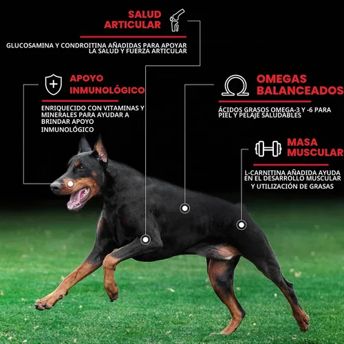 Vista 4 de CanineX - Alimento seco para perros sin granos con proteína de carne de res, 40 libras