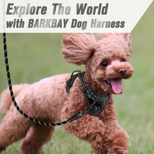 Vista 162 de BARKBAY - Arnés para perro sin tirones con clip frontal, material resistente y reflectante, asa de fácil control para pasear perros grandes