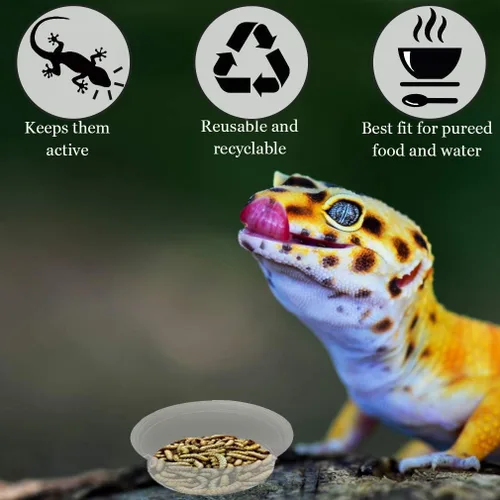 Vista 3 de SunGrow Vasos reutilizables Gecko para alimentos y agua, 100 unidades, cuencos de plástico reciclables de 1 onza, se adapta a soportes y comederos