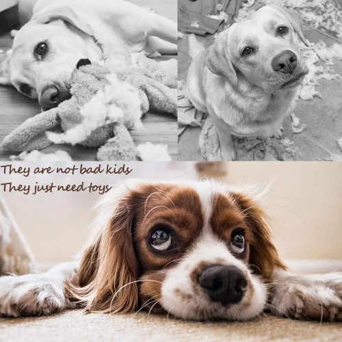 Vista 2 de PLAYJOY Juguetes para perros pequeños, juguetes masticables para cachorros, paquete de 10 juguetes interactivos para perros para aburrimiento