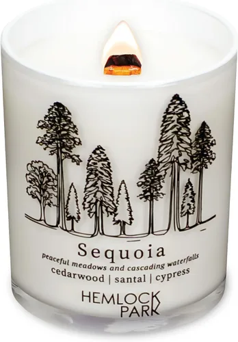 Vista 11 de Hemlock Park Travel Inspired Passport - Vela con mecha de madera agrietada hecha a mano con cera de coco natural a base de plantas