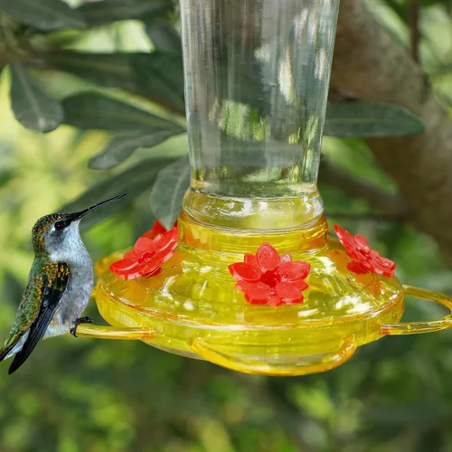 Vista 4 de Shrdaepe Comedero para colibríes, comedero para pájaros con botella de vidrio, 5 puertos de alimentación (rojo y amarillo)