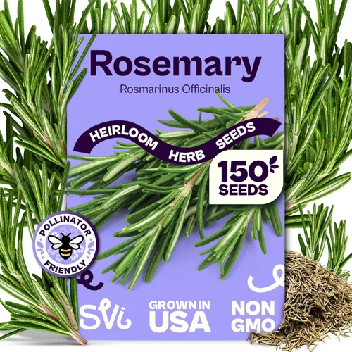 Vista 18 de SVI 2000 semillas de albahaca genovesa (Ocimum basilicum) - Paquetes de semillas de albahaca dulce - Semillas aromáticas de hierbas culinarias
