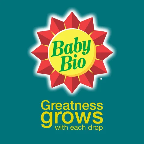 Vista 6 de Baby Bio Alimentos cítricos, concentrado, 5.9 onzas (paquete de 3)