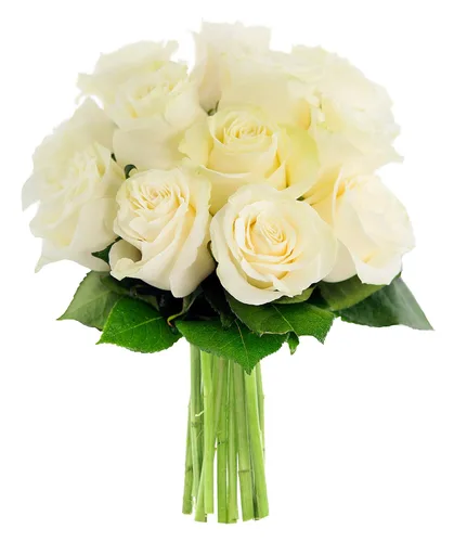 Vista 17 de KaBloom - Rosas arcoíris (media docena)- Flores frescas para cumpleaños, San Valentín y Día de la Madre