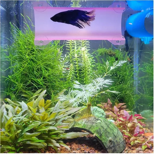 Vista 11 de Marca Betta Tunnel (negro opaco)