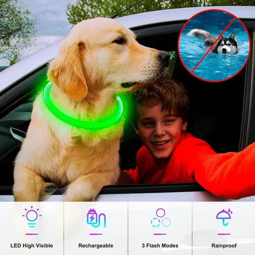 Vista 2 de Collar de perro iluminado, recargable por USB, LED, verde