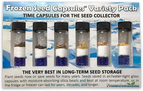 Vista 2 de Colección de semillas de jardín de hierbas medicinales #1 – Un paquete variado de 6 semillas de hierbas medicinales raras. CÁPSULAS DE SEMILLAS