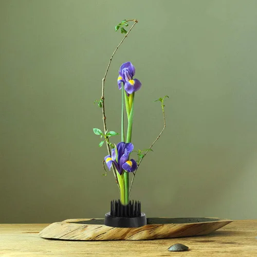 Vista 3 de TOPINCN Soporte de flores Rana Redondo Fijo Herramientas Arreglo Floral, Aguja Japonesa Plumbum Flower Pin Holders (34MM)